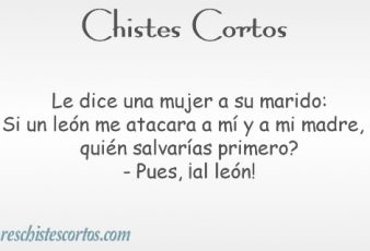 Mejores Chistes Cortos